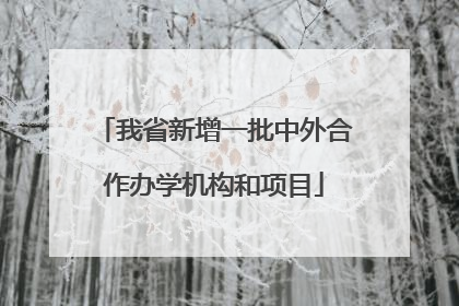 我省新增一批中外合作办学机构和项目