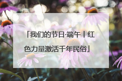 我们的节日·端午丨红色力量激活千年民俗