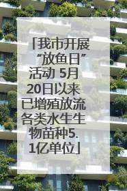 我市开展“放鱼日”活动 5月20日以来已增殖放流各类水生生物苗种5.1亿单位
