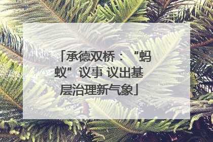 承德双桥：“蚂蚁”议事 议出基层治理新气象