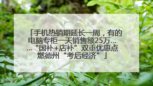手机热销期延长一周，有的电脑专柜一天销售额25万……“国补+店补”双重优惠点燃德州“考后经济”