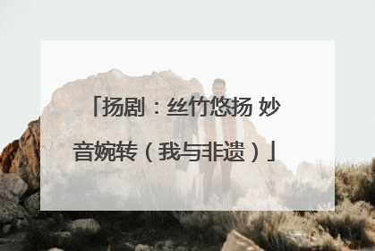 扬剧：丝竹悠扬 妙音婉转（我与非遗）