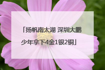 扬帆南太湖 深圳大鹏少年拿下4金1银2铜