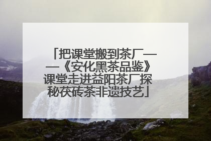 把课堂搬到茶厂——《安化黑茶品鉴》课堂走进益阳茶厂探秘茯砖茶非遗技艺
