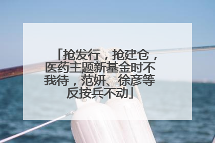 抢发行，抢建仓，医药主题新基金时不我待，范妍、徐彦等反按兵不动