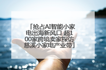 抢占AI智能小家电出海新风口 超100家跨境卖家探访慈溪小家电产业带