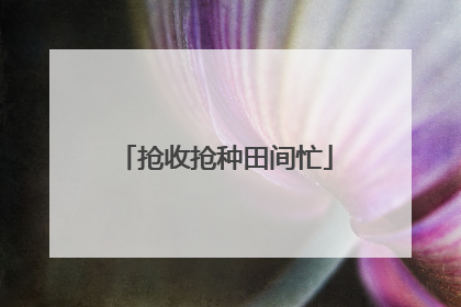 抢收抢种田间忙