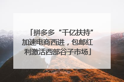 拼多多“千亿扶持”加速电商西进，包邮红利激活西部谷子市场