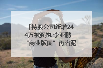 持股公司新增244万被强执 李亚鹏“商业版图”再陷泥潭？｜科技观察