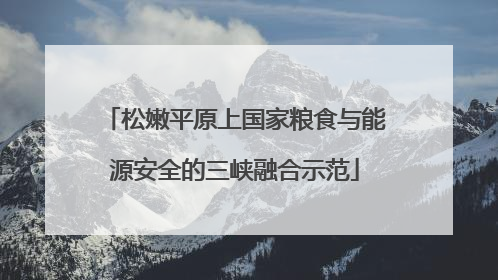 松嫩平原上国家粮食与能源安全的三峡融合示范