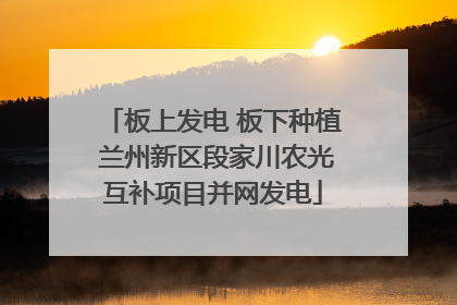 板上发电 板下种植 兰州新区段家川农光互补项目并网发电