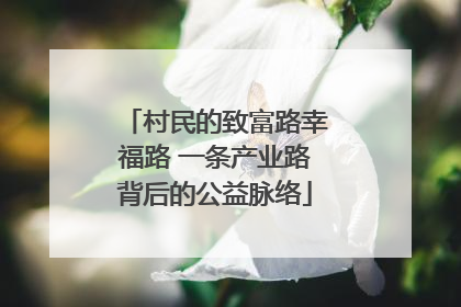 村民的致富路幸福路 一条产业路背后的公益脉络