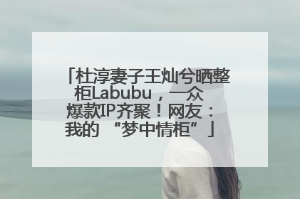 杜淳妻子王灿兮晒整柜Labubu，一众爆款IP齐聚！网友：我的 “梦中情柜”
