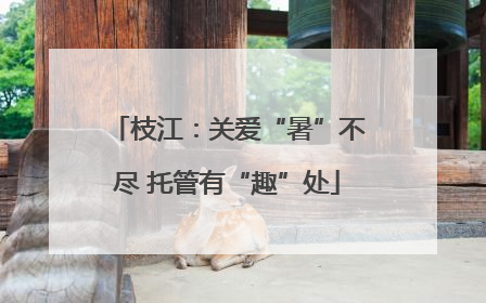 枝江：关爱“暑”不尽 托管有“趣”处