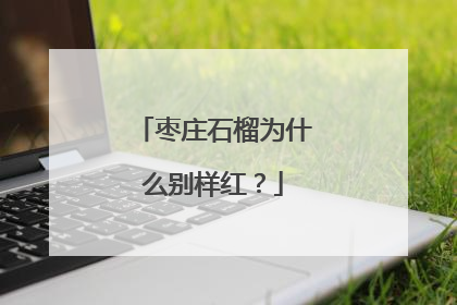 枣庄石榴为什么别样红？