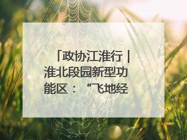政协江淮行｜淮北段园新型功能区：“飞地经济”拔节生长