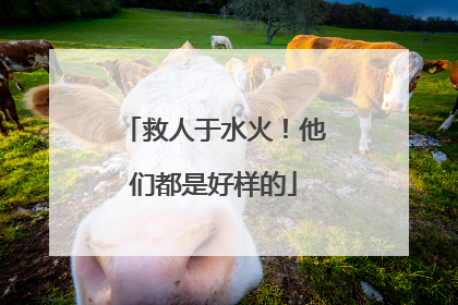 救人于水火！他们都是好样的