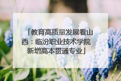 教育高质量发展看山西：临汾职业技术学院新增高本贯通专业