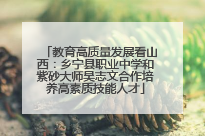 教育高质量发展看山西：乡宁县职业中学和紫砂大师吴志文合作培养高素质技能人才