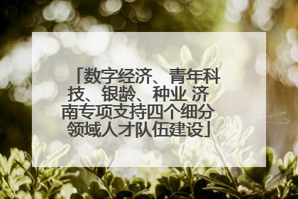 数字经济、青年科技、银龄、种业 济南专项支持四个细分领域人才队伍建设