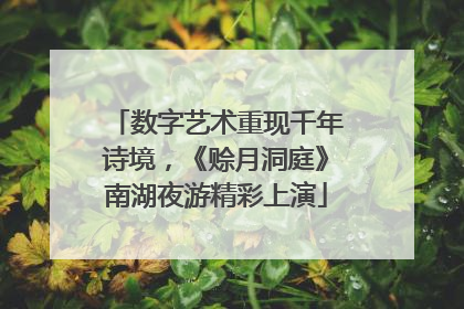 数字艺术重现千年诗境，《赊月洞庭》南湖夜游精彩上演