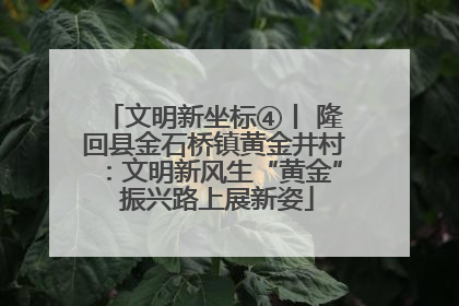 文明新坐标④丨 隆回县金石桥镇黄金井村：文明新风生“黄金” 振兴路上展新姿