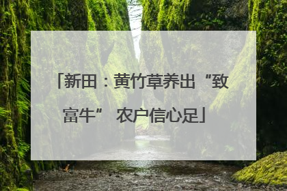 新田：黄竹草养出“致富牛” 农户信心足