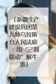 新疆生产建设兵团第九师乌拉斯台人民法庭：用“三调联动”解牛事