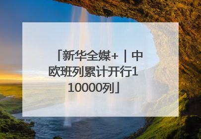 新华全媒+｜中欧班列累计开行110000列