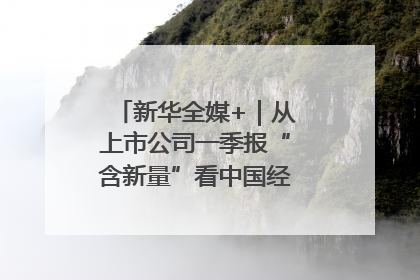 新华全媒+｜从上市公司一季报“含新量”看中国经济发展向“新”