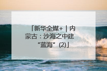 新华全媒+｜内蒙古：沙海之中建“蓝海”(2)