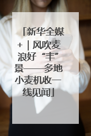 新华全媒+｜风吹麦浪好“丰”景——多地小麦机收一线见闻