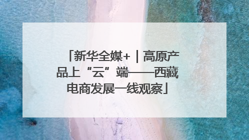 新华全媒+｜高原产品上“云”端——西藏电商发展一线观察