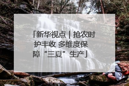 新华视点｜抢农时 护丰收 多维度保障“三夏”生产