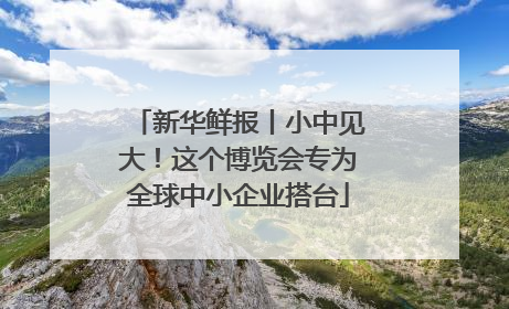 新华鲜报丨小中见大！这个博览会专为全球中小企业搭台