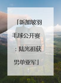 新加坡羽毛球公开赛：陆光祖获男单亚军