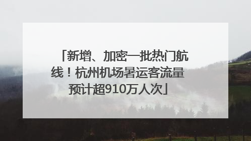 新增、加密一批热门航线！杭州机场暑运客流量预计超910万人次