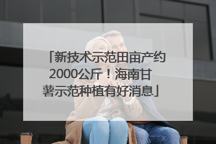 新技术示范田亩产约2000公斤！海南甘薯示范种植有好消息