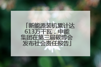 新能源装机累计达613万千瓦，申能集团在第三届碳博会发布社会责任报告