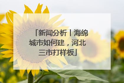 新闻分析丨海绵城市如何建，河北三市打样板