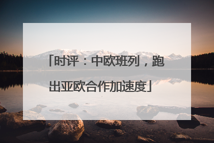 时评：中欧班列，跑出亚欧合作加速度