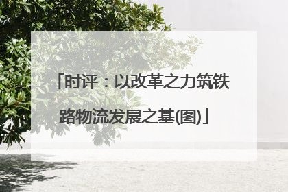时评：以改革之力筑铁路物流发展之基(图)