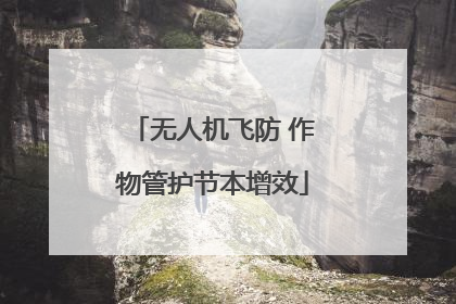 无人机飞防 作物管护节本增效