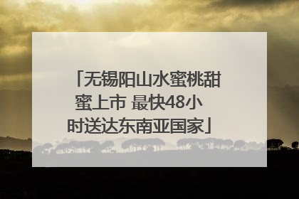 无锡阳山水蜜桃甜蜜上市 最快48小时送达东南亚国家