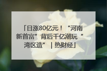 日涨80亿元！“河南新首富”背后千亿潮玩“湾区造”｜热财经