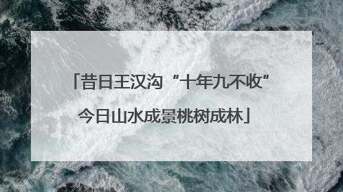 昔日王汉沟“十年九不收” 今日山水成景桃树成林