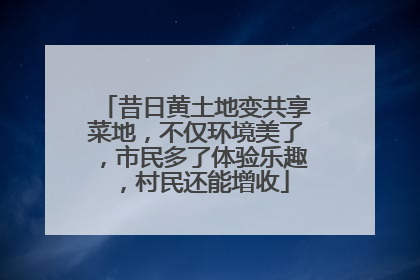 昔日黄土地变共享菜地，不仅环境美了，市民多了体验乐趣，村民还能增收