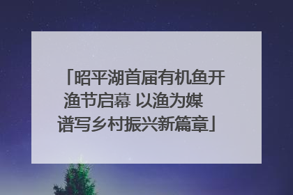 昭平湖首届有机鱼开渔节启幕 以渔为媒 谱写乡村振兴新篇章