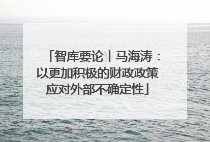 智库要论丨马海涛：以更加积极的财政政策应对外部不确定性