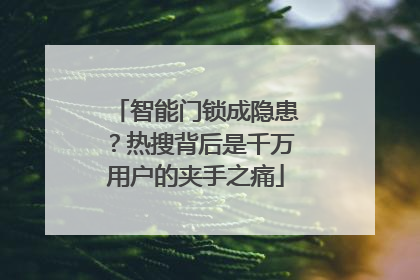 智能门锁成隐患？热搜背后是千万用户的夹手之痛